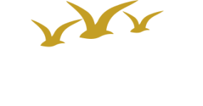 lazy-river-logo-white